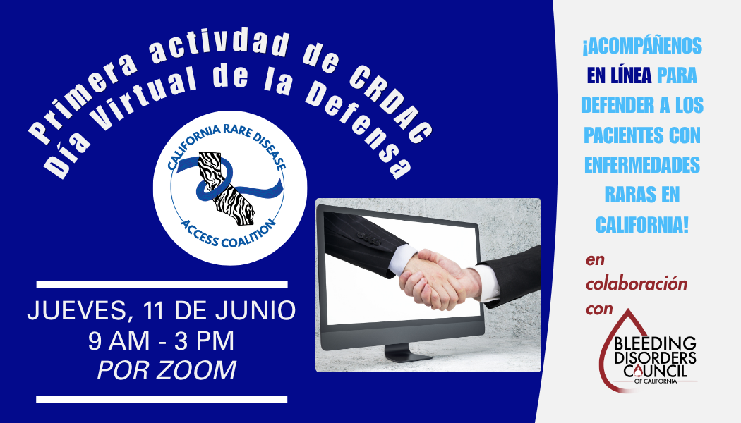 Día Virtual de la Defensa- gráfica